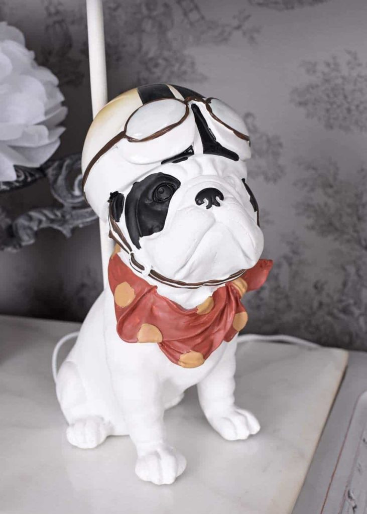 leuchten hund