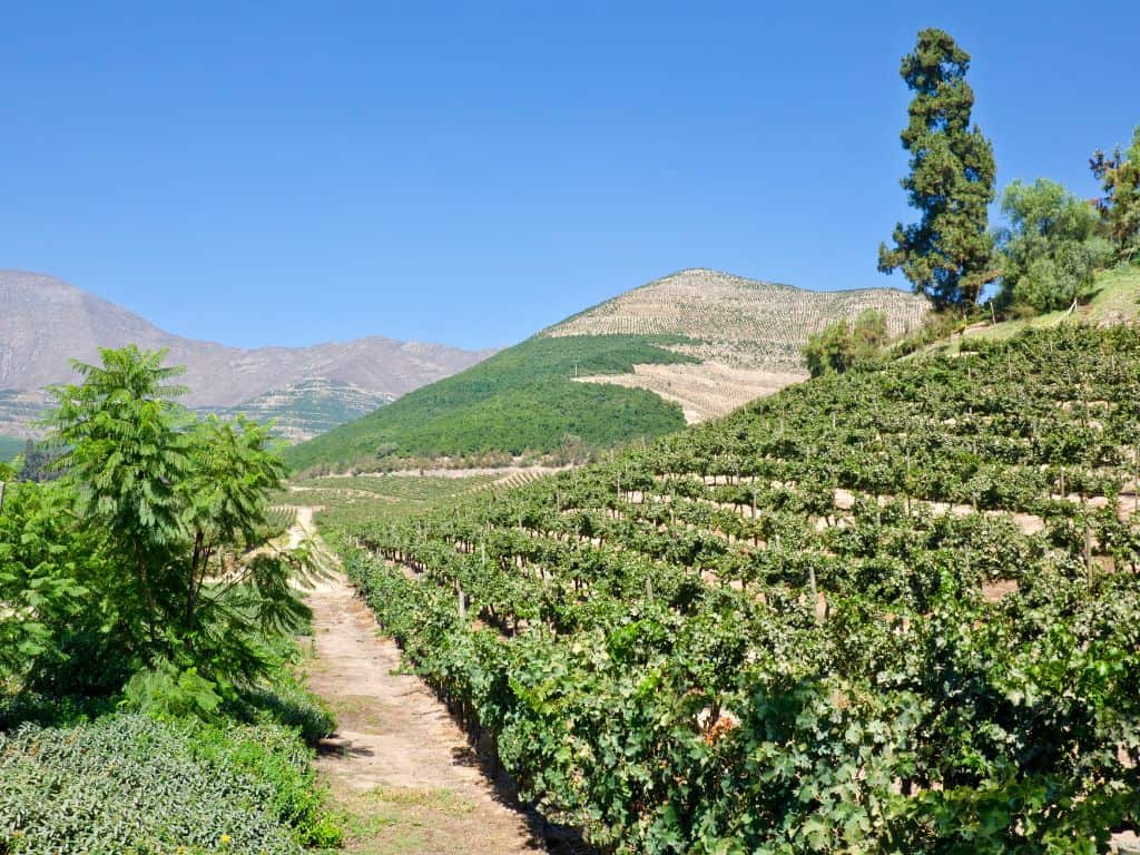 Aconcagua Cabernet Sauvignon