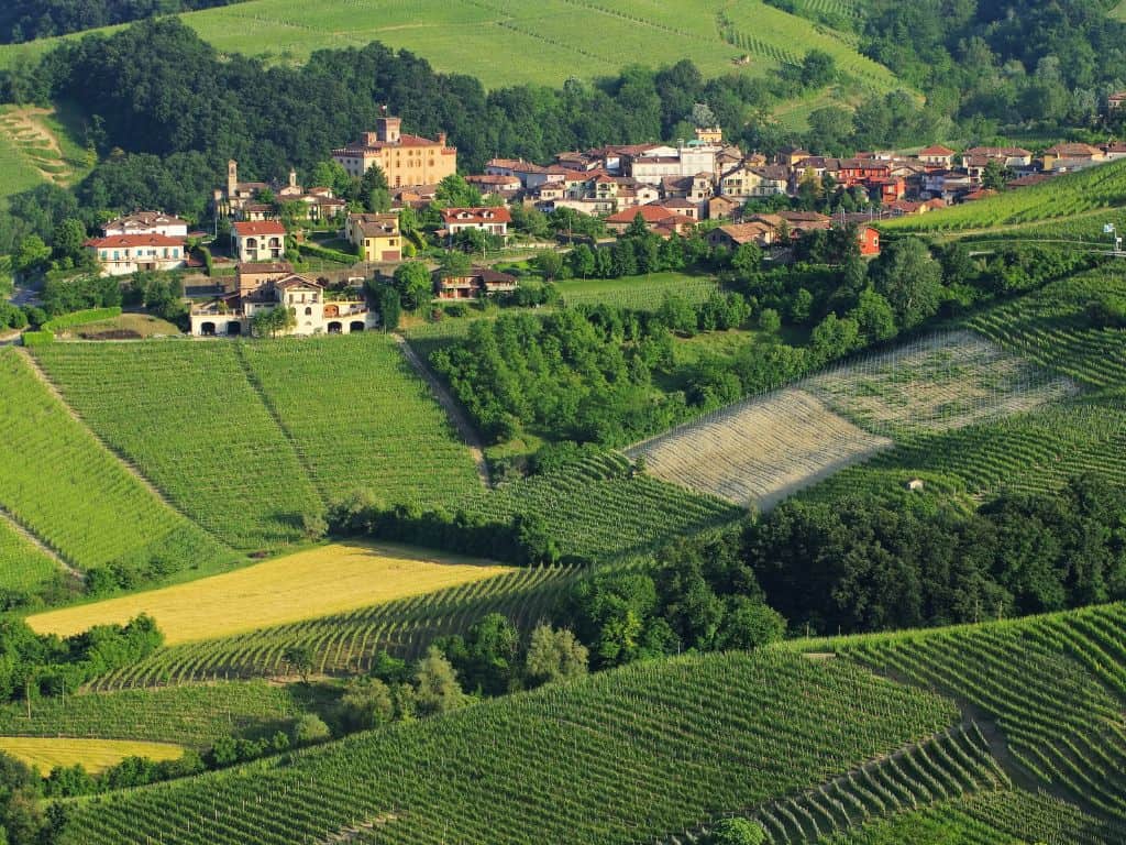 Barolo und Barbaresco Nebbiolo