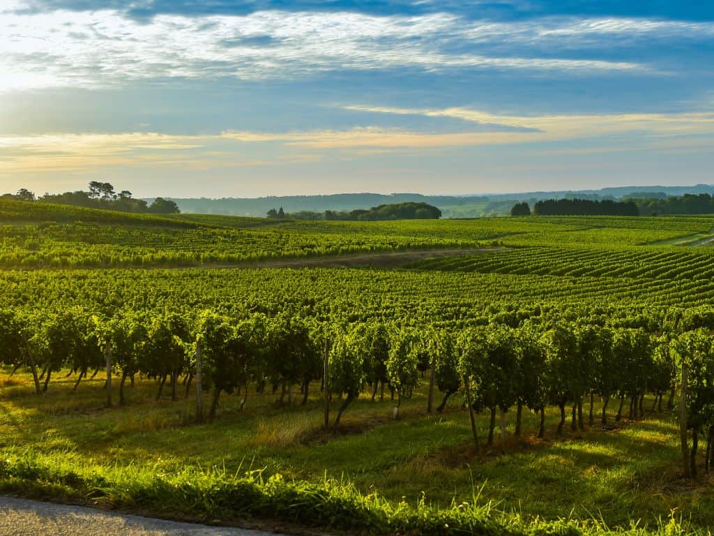 Die Weinregion Bordeaux