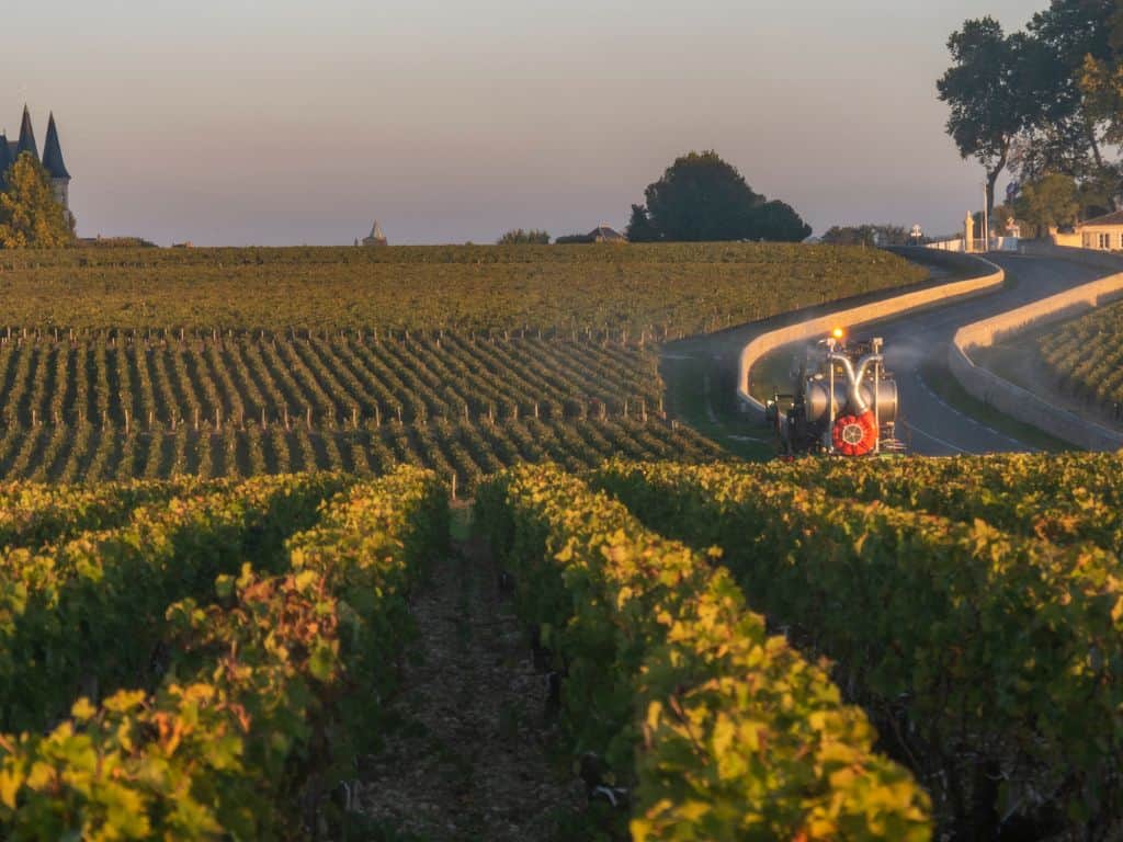 Bordeaux-blend vom linken Ufer