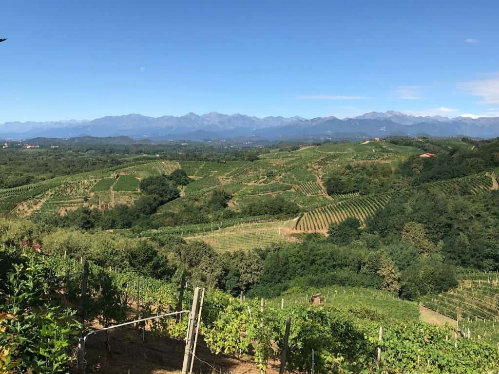Ghemme, Gattinara und Colline Novaresi Nebbiolo
