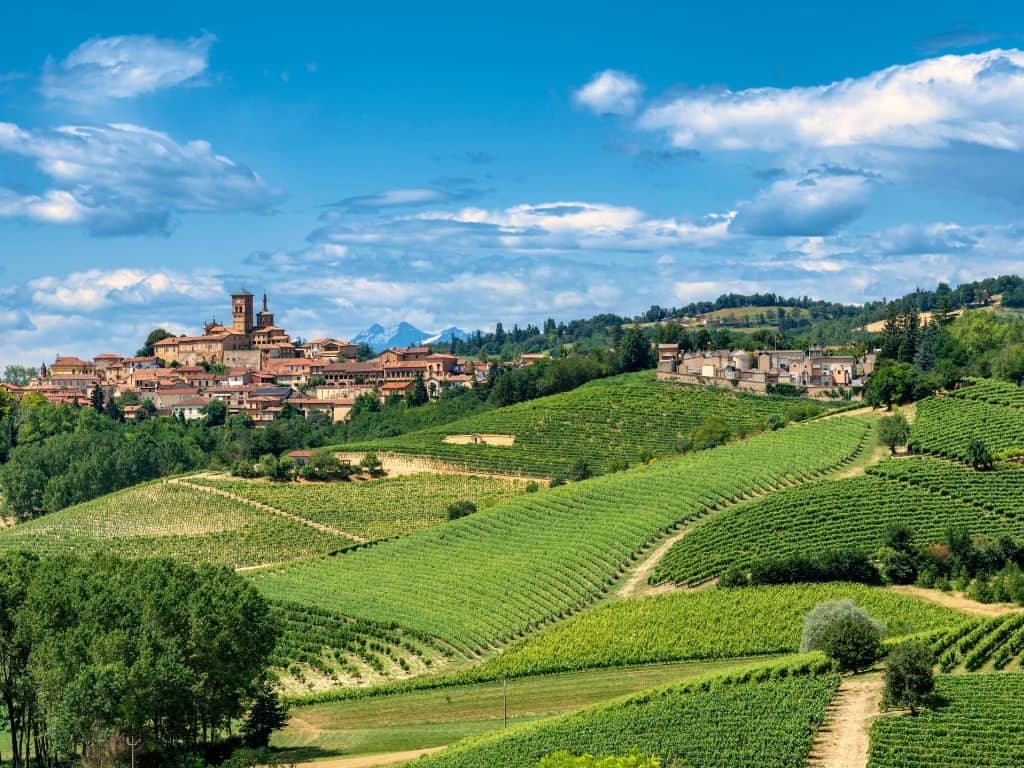 Barbera Monferrato Italien