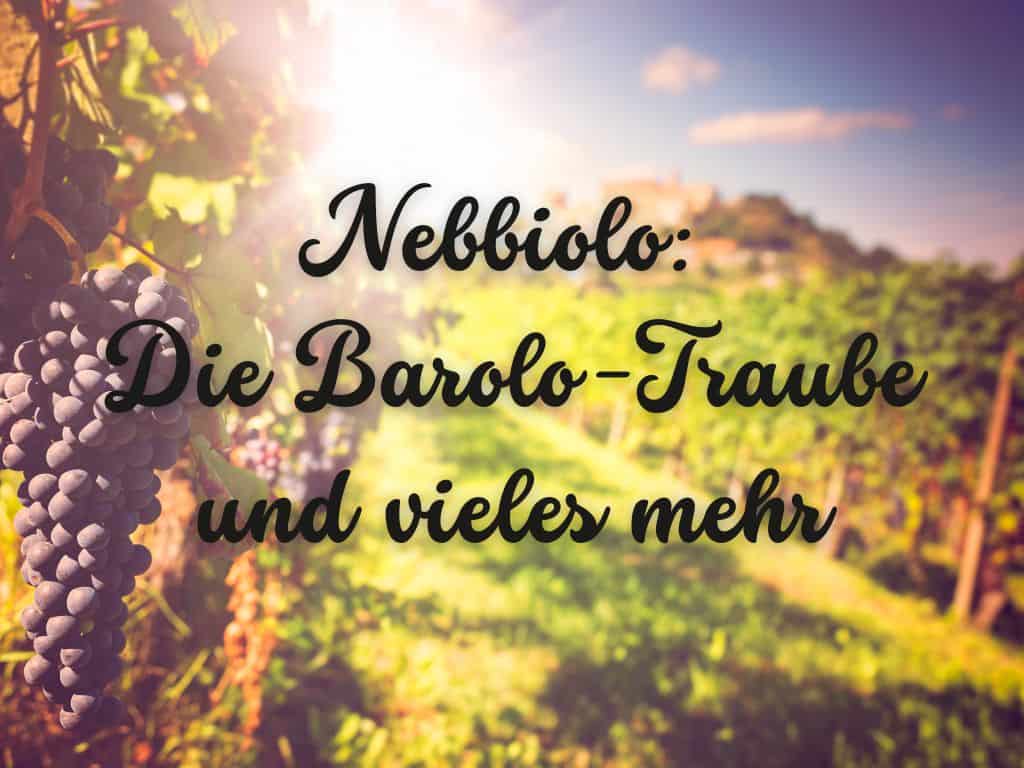 Nebbiolo: Die Barolo-Traube und vieles mehr