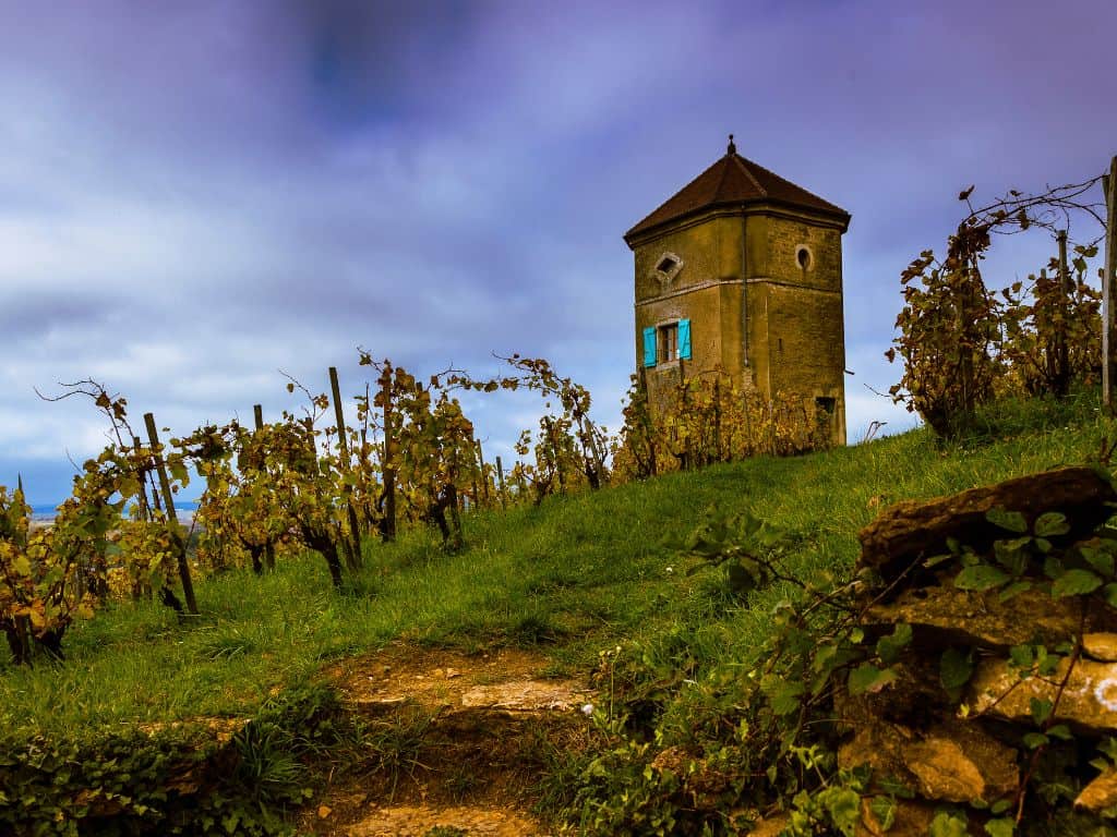 Orange Weine aus Frankreich