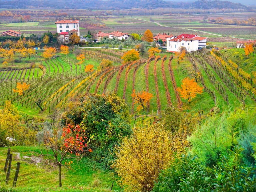OrangenWeine aus Italien