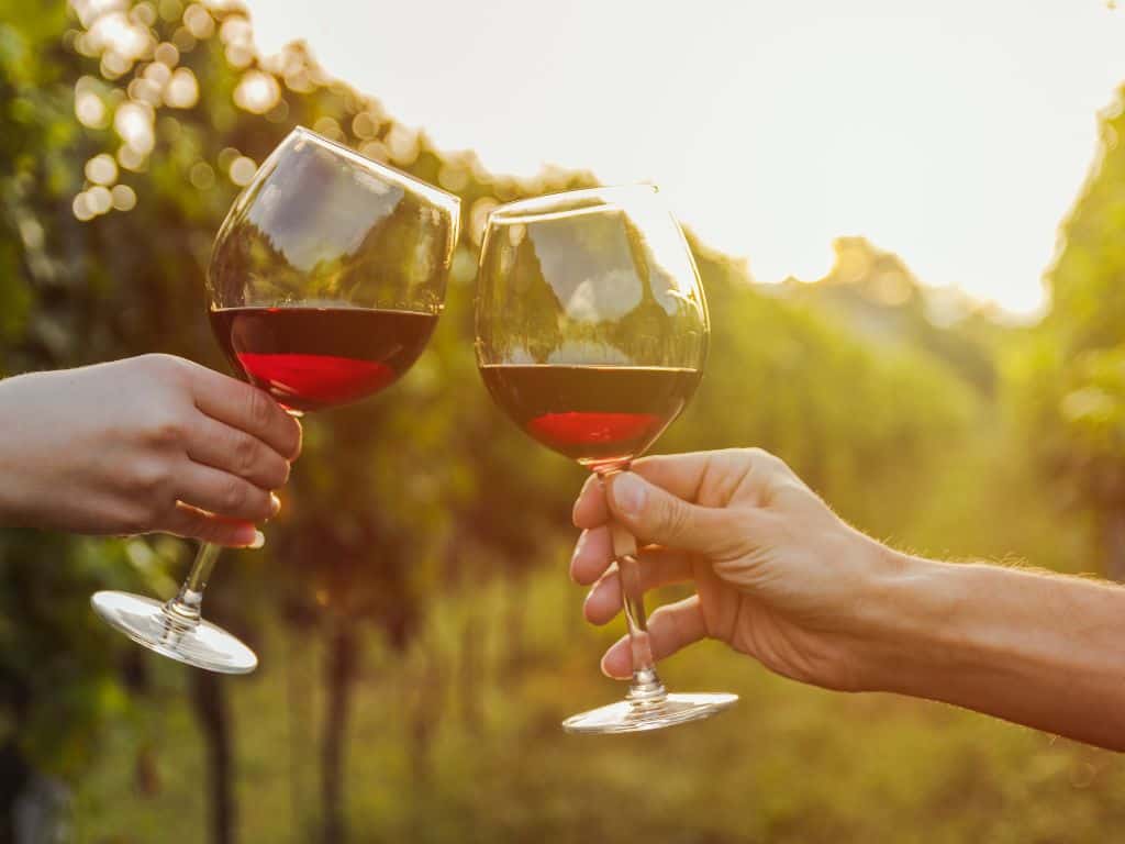 rotwein aus dem piemont