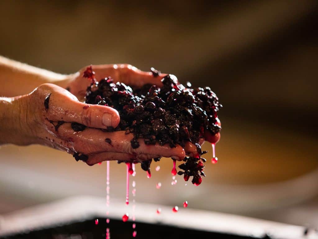 Marsala zum Kochen