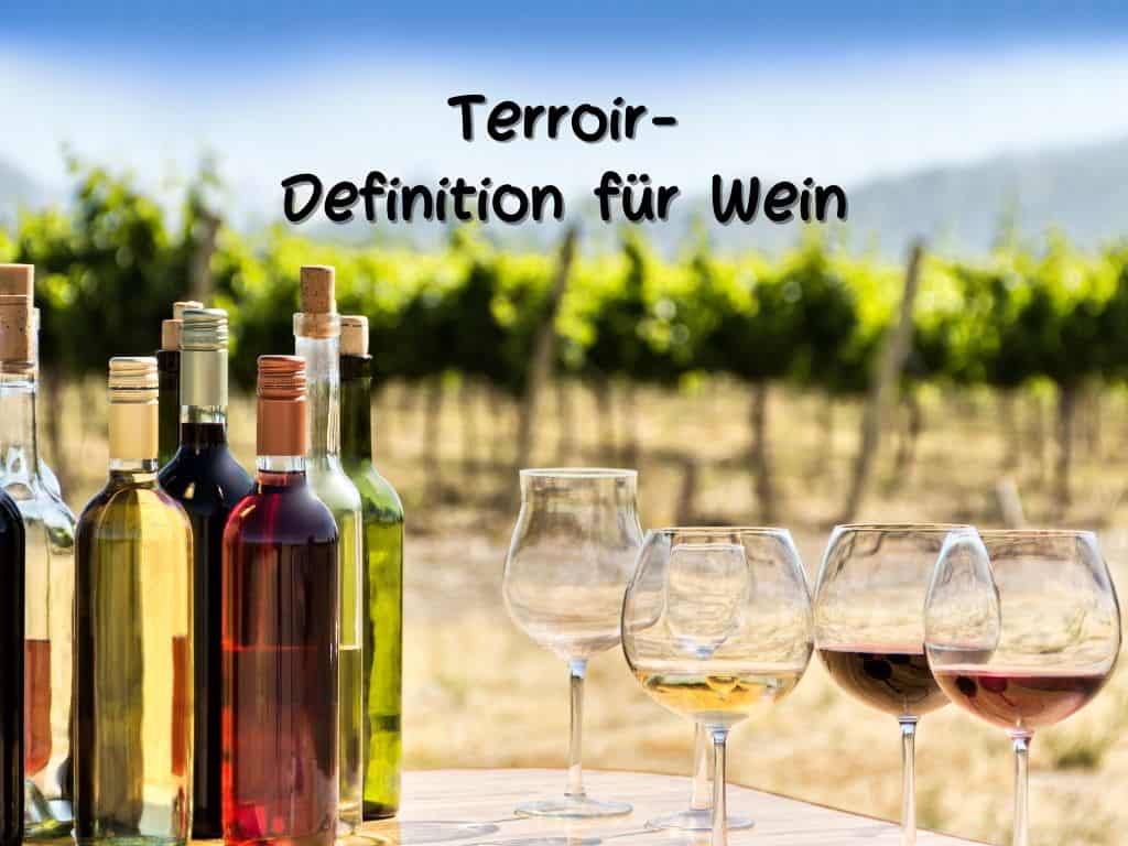 Terroir-Definition für Wein