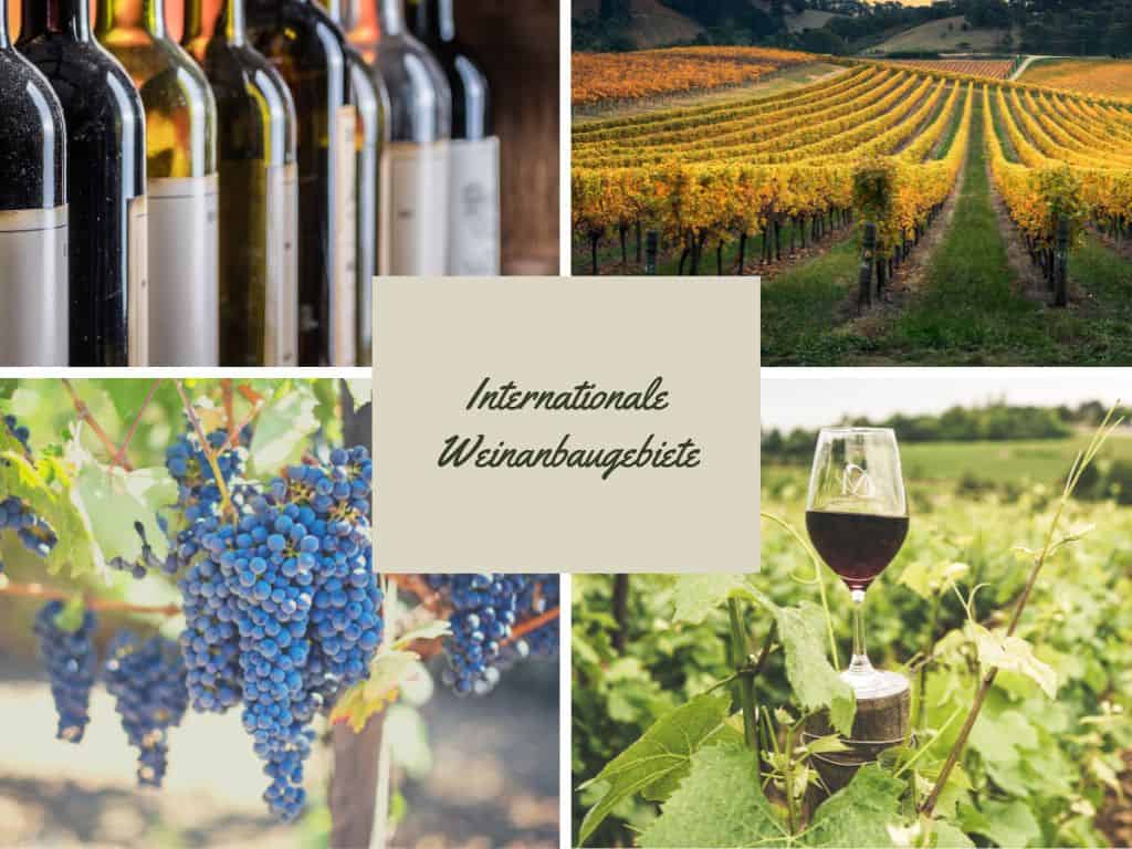 Weinanbaugebiete –  Entdecke die Weinregionen auf der ganzen Welt.
