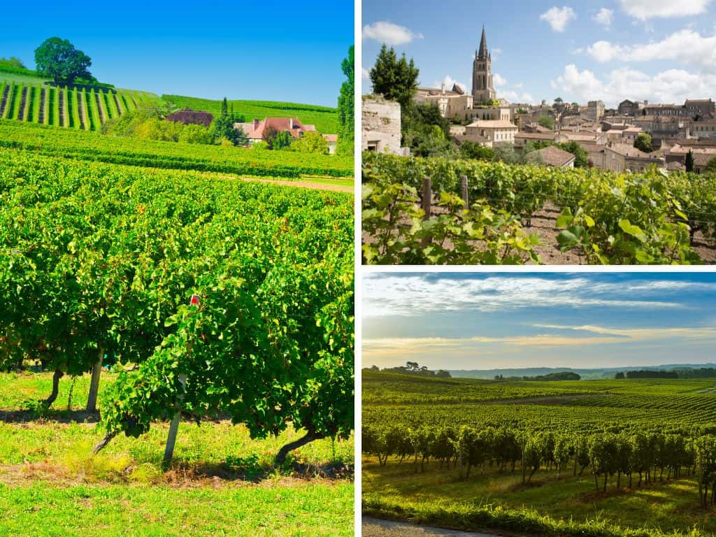 Bordeaux Weinregion
