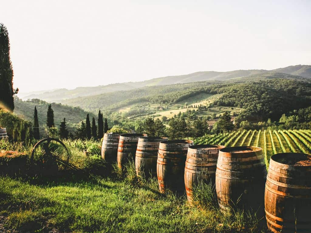 Elsass Weinregion