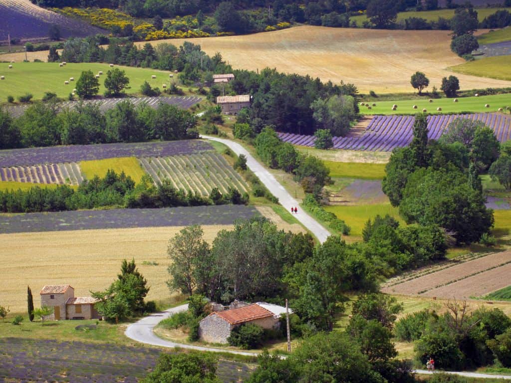 Provence Weinregion