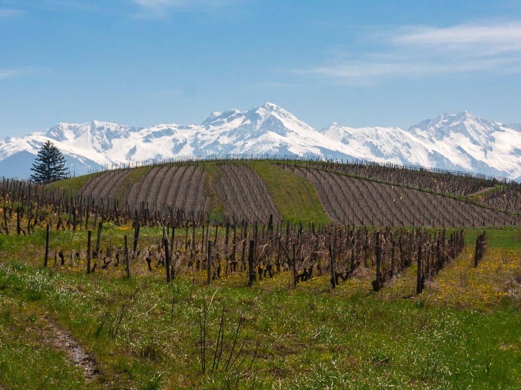 Savoyen Weinregion