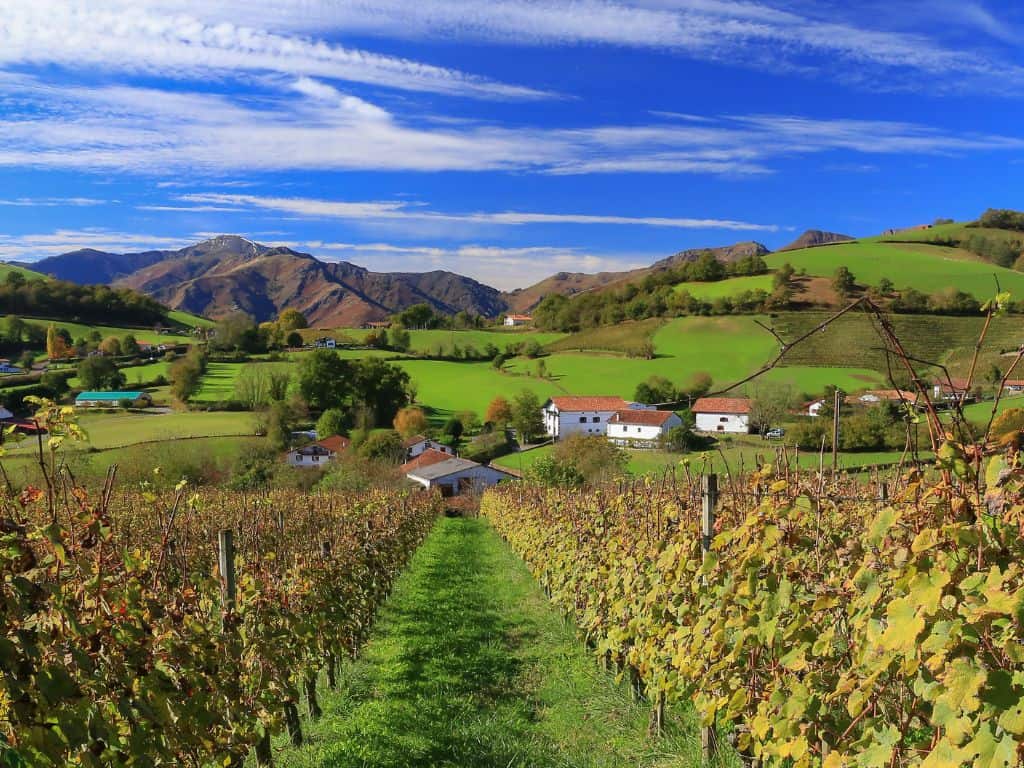 Südwesten Weinregion