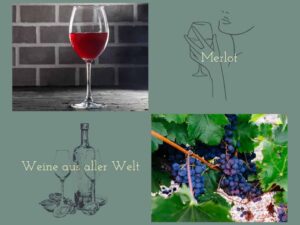 Merlot, eine Rotweinsorte, ist die am zweithäufigsten angebaute Rebsorte der Welt